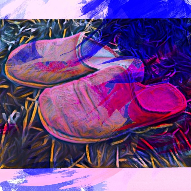 Zapatillas Leticia.jpeg